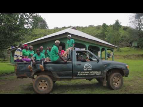 TY Danjuma Supporter Of The Nigerian Montane Forest Project 