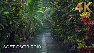 Lluvia calmante sobre las hojas al atardecer 🌿 8 horas de ASMR suave para aliviar el estrés screenshot 1