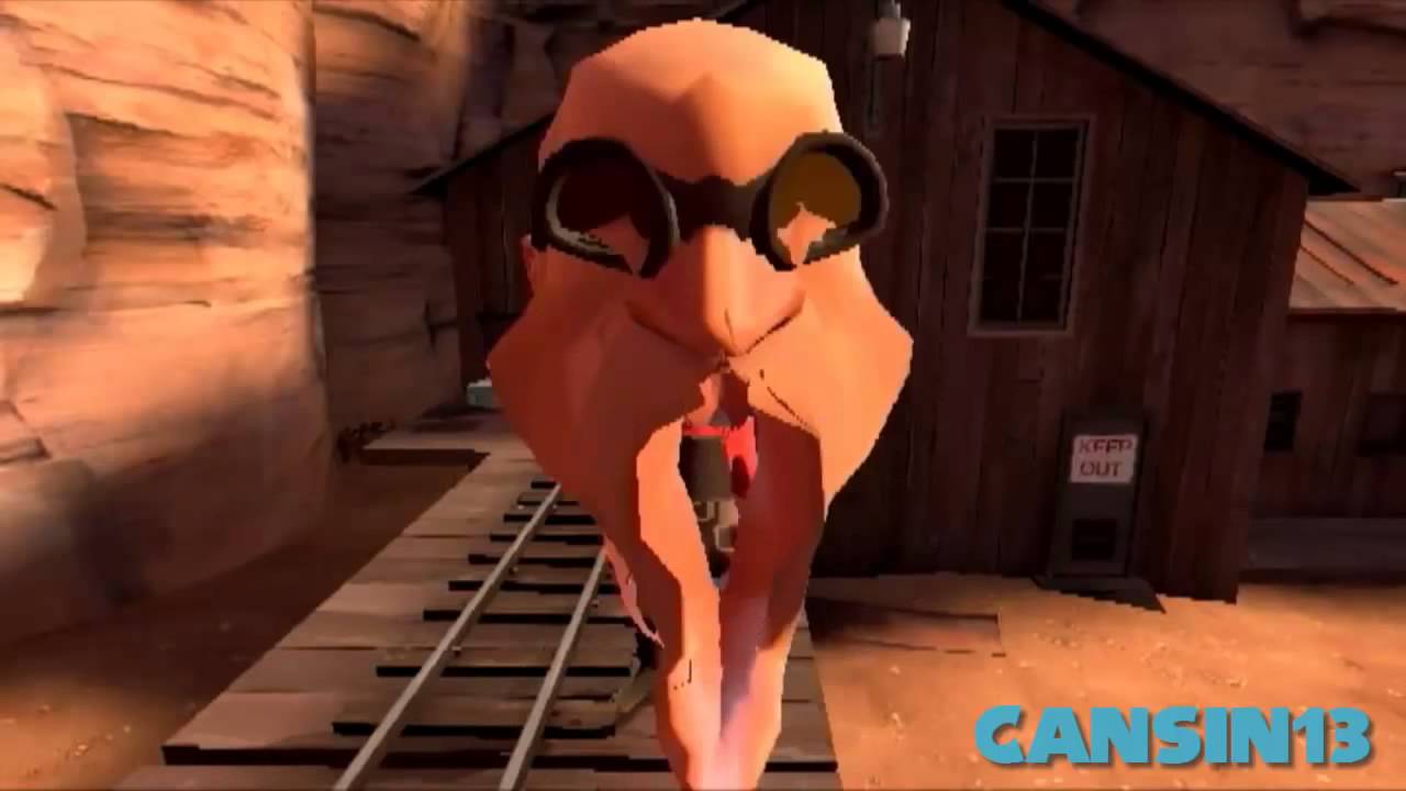 (Reupload) Don't mess with Vagineer