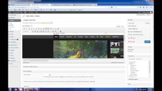 How To Add a New Video and Image Post To Detube Theme