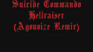 ~Suicide Commando Hellraiser ~(by Agonoize).flv
