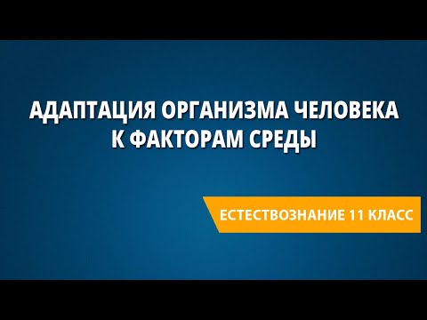 Адаптация организма человека к факторам среды