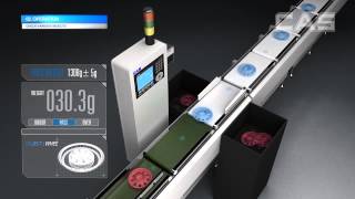 Cas Check Weigher En