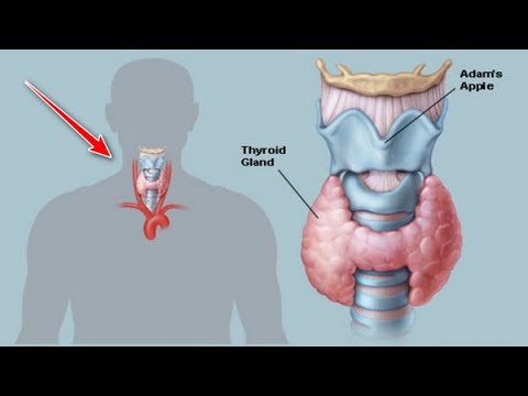 Βίντεο: Είναι επικίνδυνος ο επιταχυνόμενος καρδιακός ρυθμός