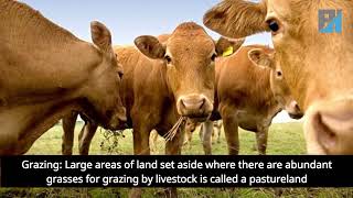 LAND AND ITS USES