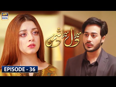 Mera Dil Mera Dushman — Episode 36