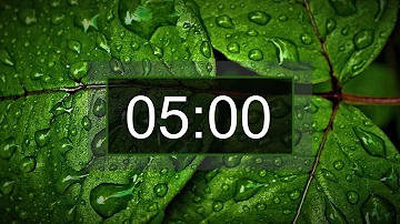 Countdown timer, 5 minutes with relaxing music for concentration