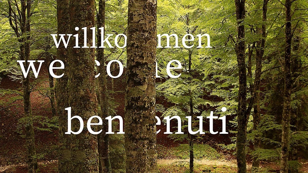 Forestali Group (2017 - Eng)