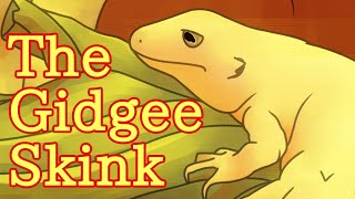 The Gidgee Skink (Egernia stokesii) Herp Corner Episode 27
see all the episodes: https://www.youtube.com/playlist?list=PL5lu8OVfOJnZc_luY9qCpZZQLY_XxbBsu
Videos shown:
https://www.youtube.com/watch?v=OL4sRChFcIo
https://www.youtube.com/watch?v=3Cw7DIVDIQg
see all the episodes: https://www.youtube.com/playlist?list=PL5lu8OVfOJnZc_luY9qCpZZQLY_XxbBsu
Sources:
https://reptile-database.reptarium.cz/species?genus=Egernia&species=stokesii
https://www.snaketracks.com/gidgee-skink/
https://www.lizards101.com/lizards-lost-tail/
https://www.youtube.com/watch?v=R_uVc0vdO2I
https://australian.museum/learn/animals/reptiles/gidgee-skink/
http://www.iucnredlist.org/details/62246/0
https://imperialreptiles.com/collections/skinks-for-sale/products/gidgee-spiney-tail-skinks-egernia-stokesii-for-sale
Social Media:
twitch: https://www.twitch.tv/drinkscool
deviantart: https://drinkssss.deviantart.com/
tumblr: https://drinksss.tumblr.com/
discord: https://discord.gg/FGHHHt3
Instagram: https://www.instagram.com/drinksssss/
Redbubble: https://www.redbubble.com/people/drin...
Twitter: https://twitter.com/drinksart The Gidgee Skink (Egernia stokesii) Herp Corner Episode 27