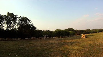 First Attempt at T-Rex 500 3D Flying (Last Attempt for a While)