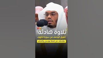تلاوة هادئة تفوق الجمال! - للشيخ ياسر الدوسري 🤍🎧..