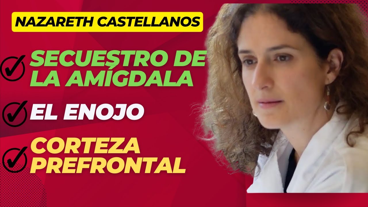 🙇🏽‍♀️🧠APRENDE EL PAPEL DE LA AMÍGDALA CEREBRAL CUANDO ESTOY ENOJADO  - Dra NAZARETH CASTELLANOS