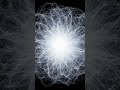 The Big Bang Explained: Kids vs Adults #science #sustainablesolutions #sciencefacts #motivation