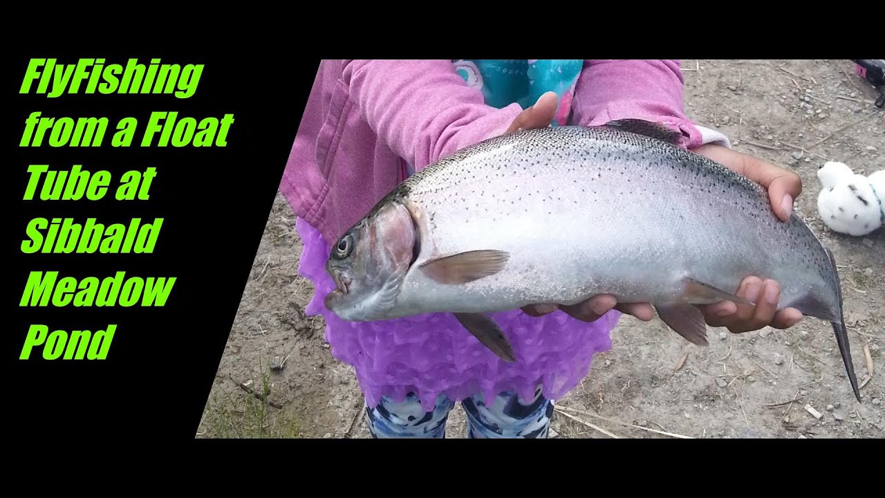 Fly Fishing From a Float Tube at Sibbald Meadow Pond