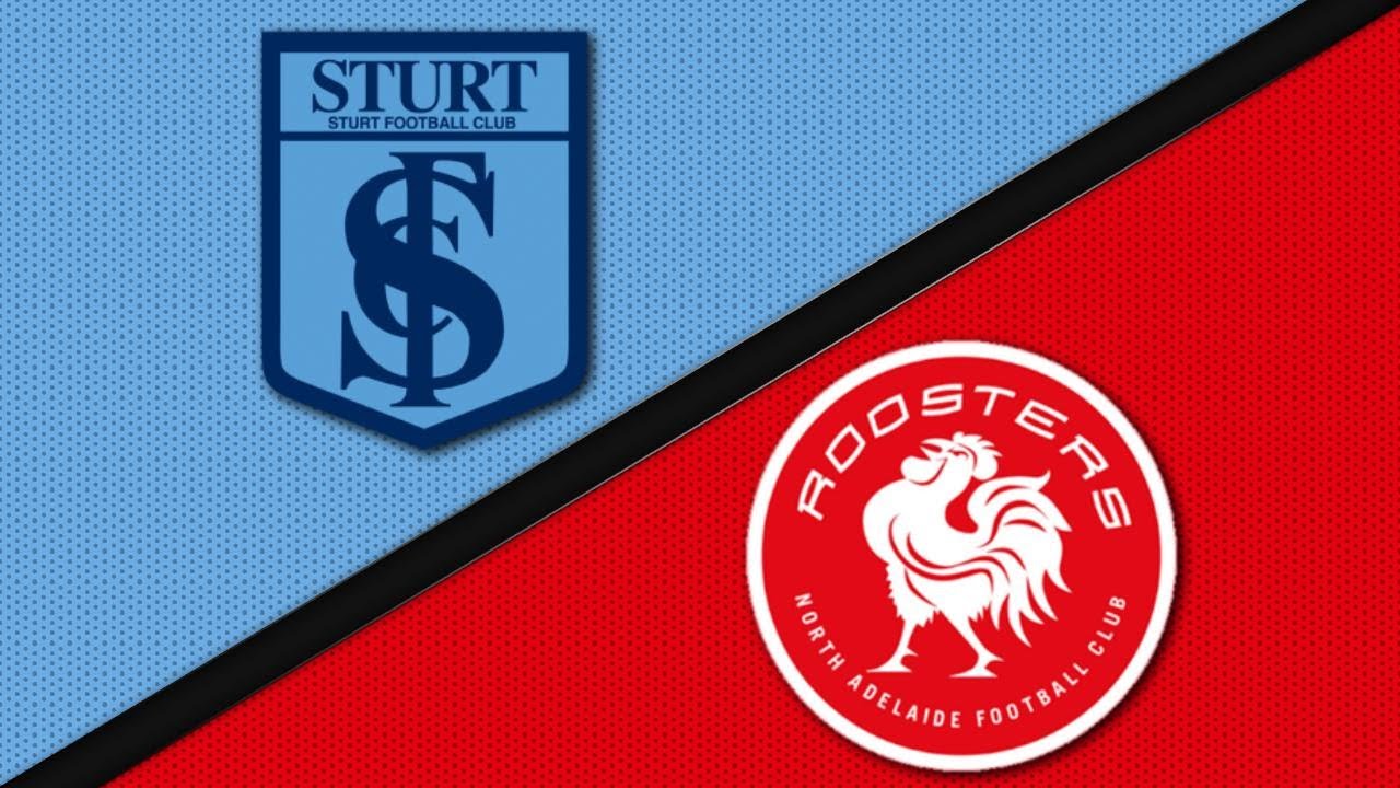 Sturt v North Adelaide - Round 12 Hostplus SANFL Match Highlights