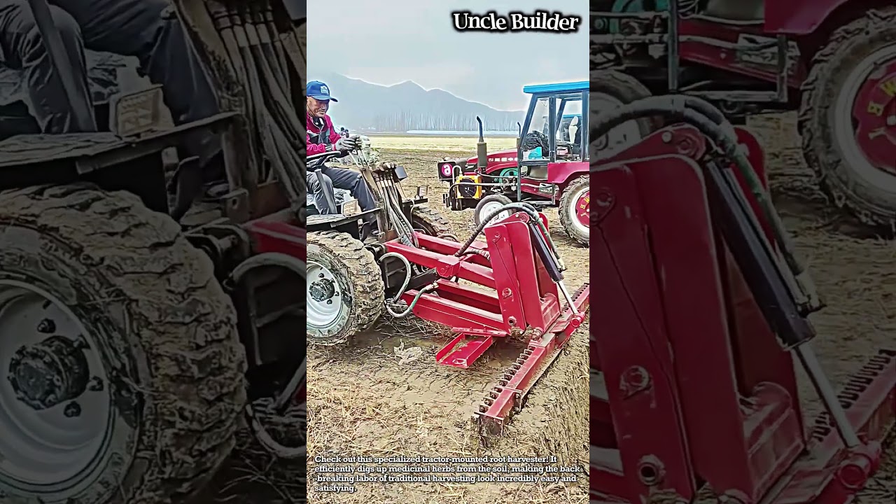 High-Tech Root Harvesting Action! #oddlysatisfying #heavyequipment #farming #agriculture #herbs