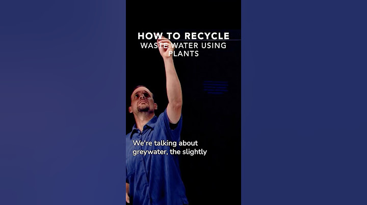 How to Recycle Waste Water Using Plants