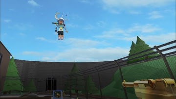 Destroying a Hacker in Murder Mystery 2...