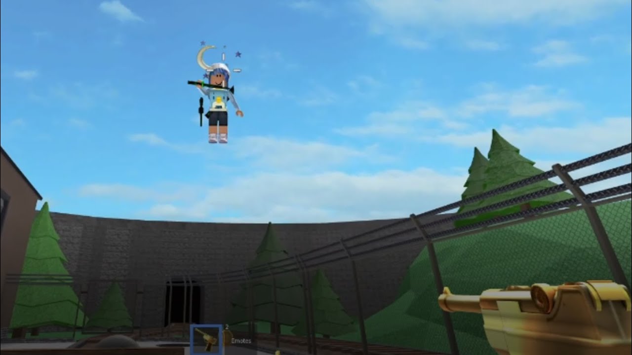 Destroying a Hacker in Murder Mystery 2...