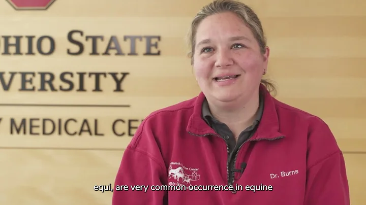 Strangles simplified: Antimicrobial stewardship in action