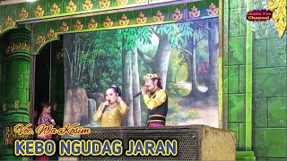 KEBO NGUDAG JARAN • Voc. WA Kosim || SANDIWARA DWI WARNA • Show Buyut Kati - Lanjan