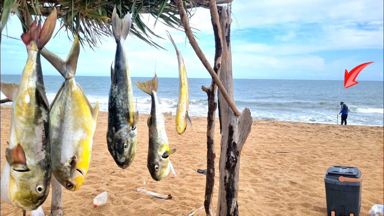 CARDUME de PEIXES FAMINTOS DEVORANDO tudo QUE CAIA NA ÁGUA | PESCARIA de PRAIA.