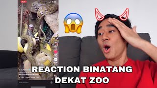 REACTION BINATANG DEKAT ZOO 😱