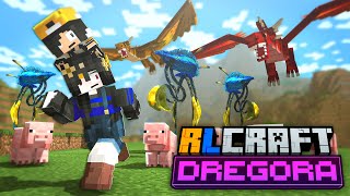 Main RLCRAFT DREGORA Di Temenin SUAMI ! @Rianiayan - RLCRAFT DREGORA