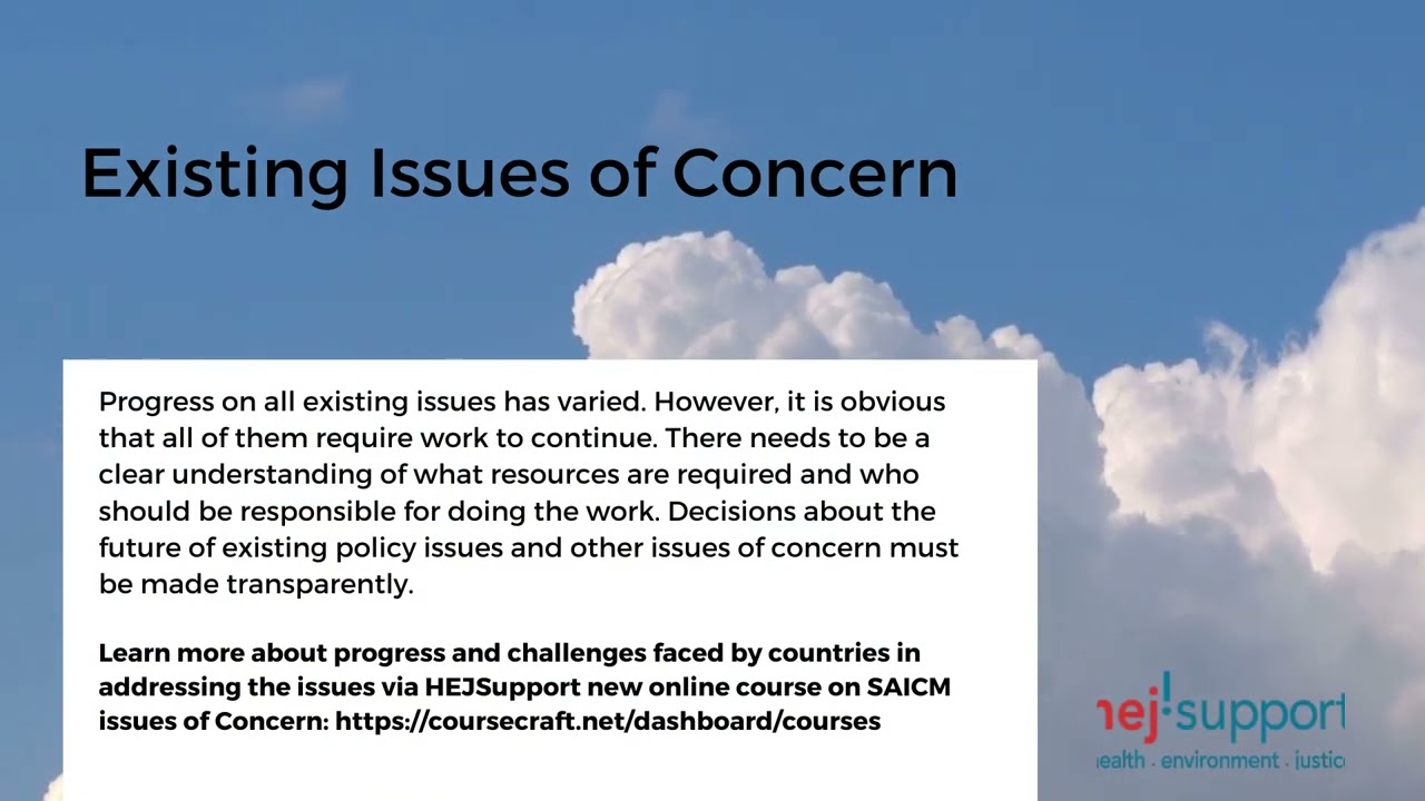 Introduction to the results of the SAICM VWG