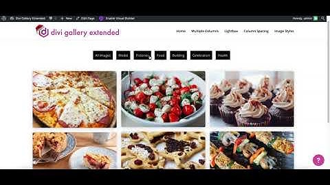 Divi Gallery Extended - Masonry Gallery With Category Filter 1.1.0 Update