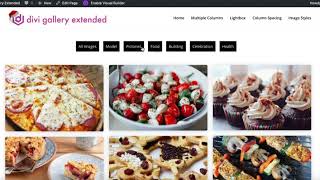 Divi Gallery Extended - Masonry Gallery With Category Filter 1.1.0 Update