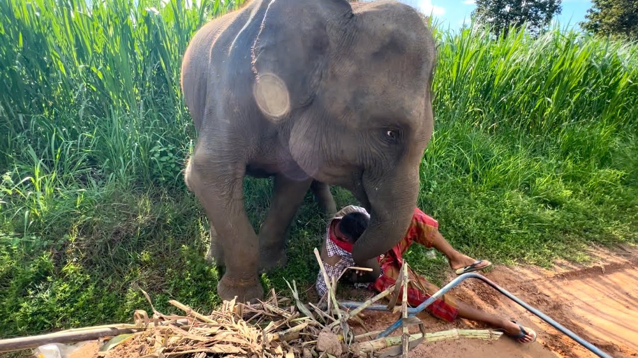 คุณพ่อเจ็บหนัก#supansaวิ่งมาช่วย