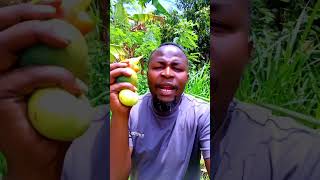 Maembe Ukamba duet haveitoldyoulatelythatiloveyou lifeisbutadream funny comedy