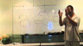 Bottle Design Lecture