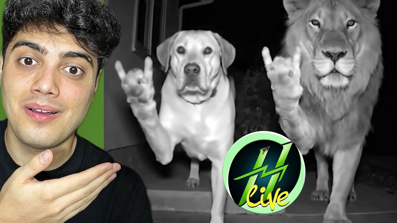 Harun Məmmədovun Dublajlarına Baxdım!