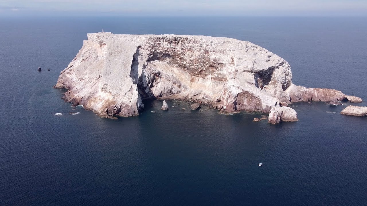 🅿🅴🆂🅲🅰 Expedición a la Mejor Isla del Mundo || Farallon de San Ignacio Sin. || Jurel , medregal etc.