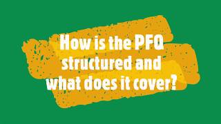 What does the Project Fundamentals Qualification (PFQ) cover?