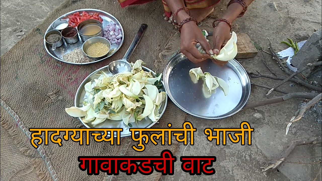 हादग्याच्या फुलांची भाजी,आयुर्वेदीक महत्व,gavakdachi vat