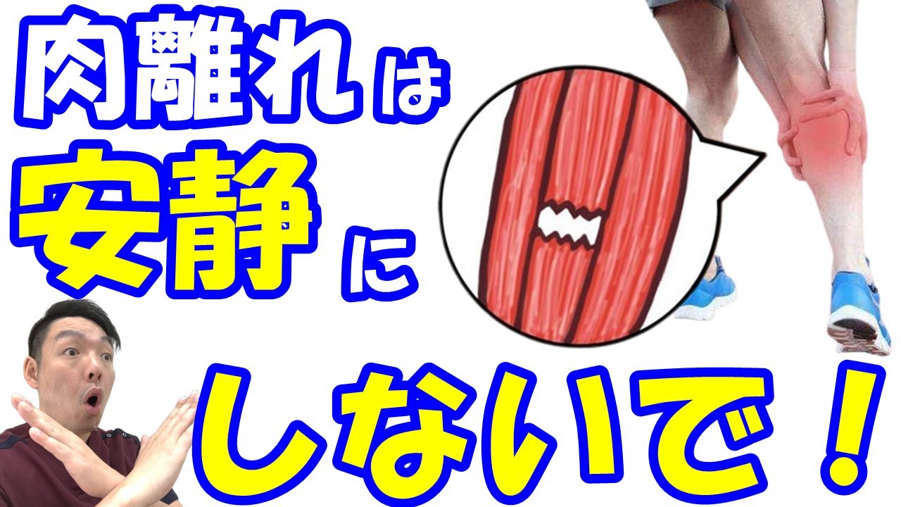 vol.1244 肉離れは安静にしないで！肉離れを早くに治すために