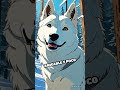 Chinook: El héroe oculto de los trineos