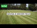 Saving a soccer field dol turf