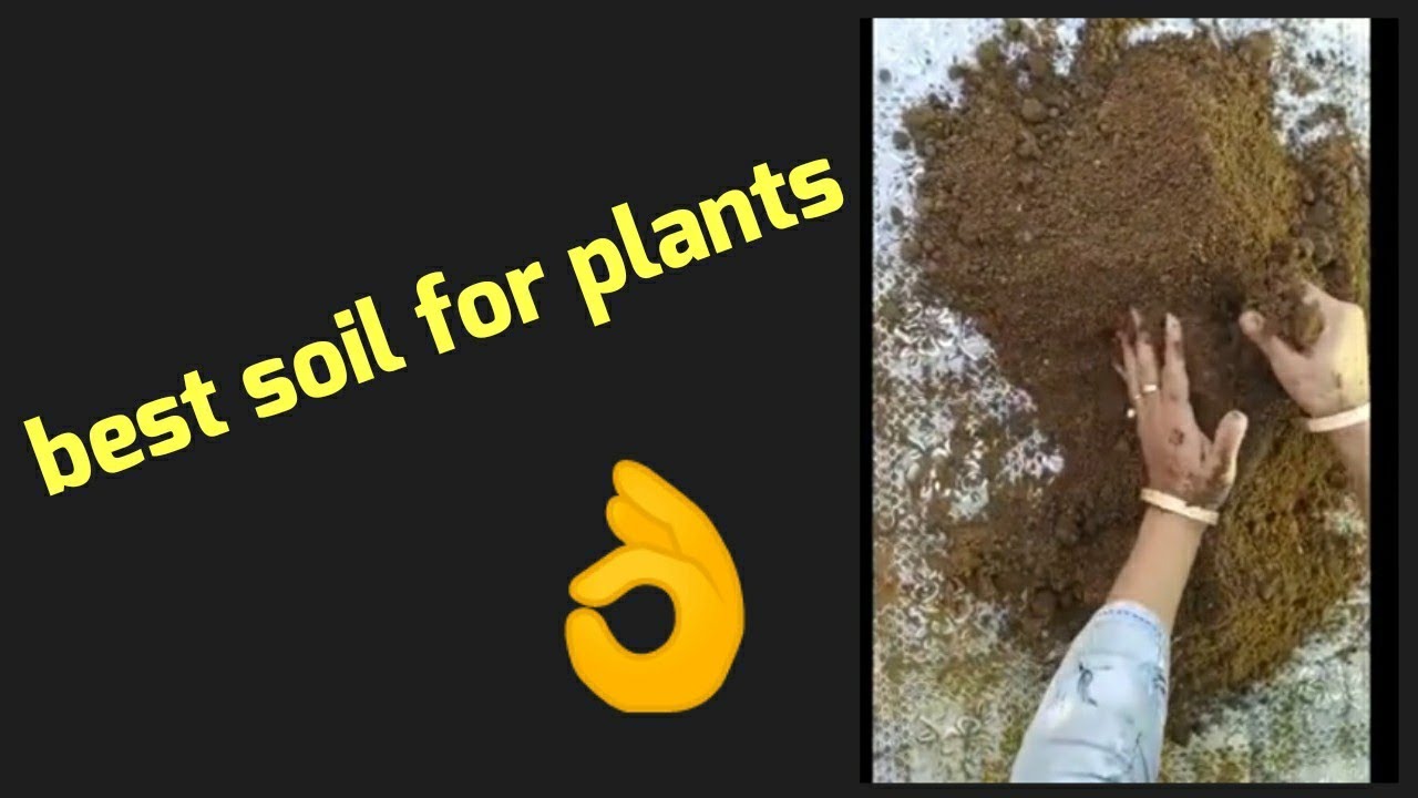 How to Make Fertile Soil for Better Growth of Plants Best Soil for