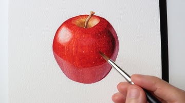 How to paint a realistic apple in watercolor- Step by step tutorial