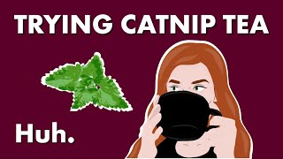 How Does Catnip Work and What Can It Do? — Huh.