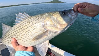 Greers Ferry Lake Fishing