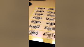 Honeywell / Intermec SG20 continuous read