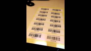 Honeywell / Intermec SG20 continuous read Net Worth