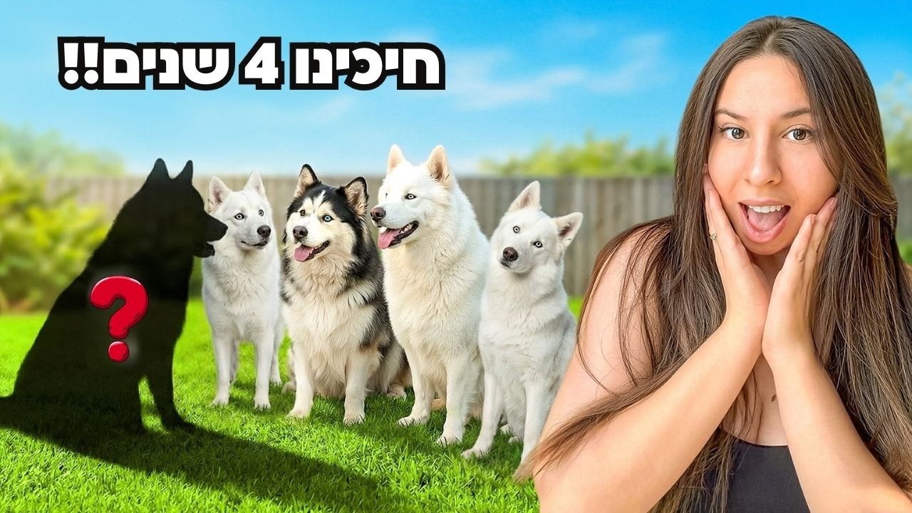 הכלבים שלי פגשו את האחים האבודים שלהם אחרי 4 שנים 🥹
