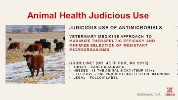 Understanding the Veterinary Feed Directive - Information for Beef Producers