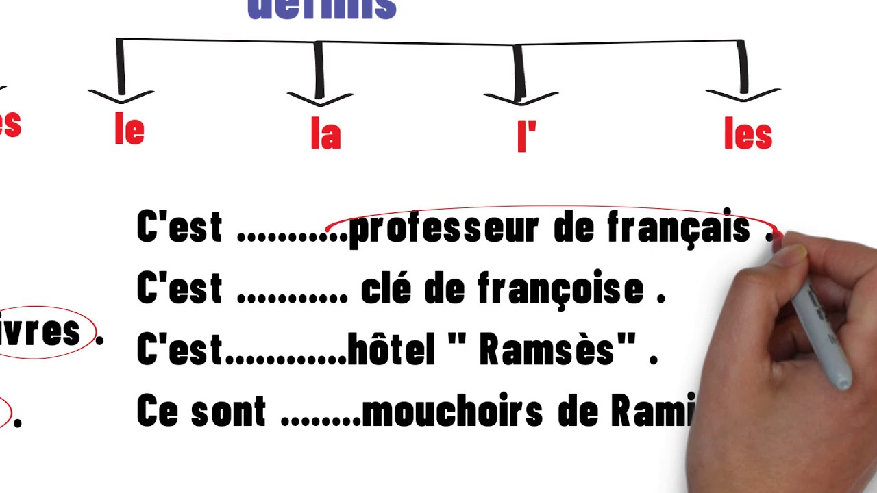 الصف الأول الإعدادي/ترم أول/الوحدة 3/الدرس 3/أدوات النكرة والمعرفة والفرق بينهم /les articles